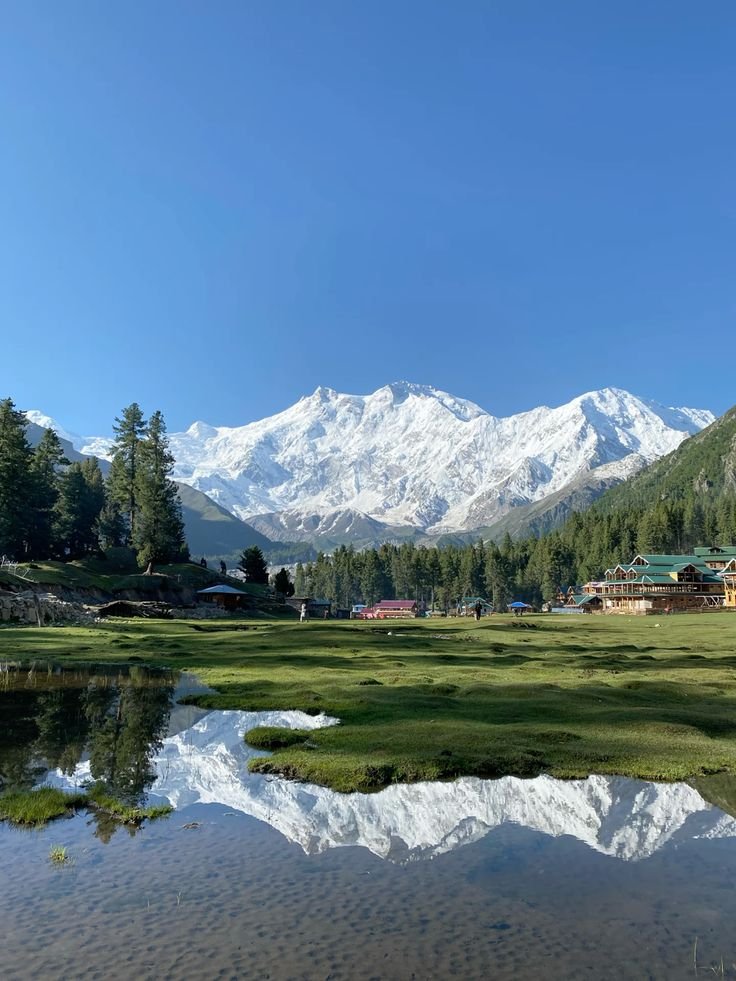 Fairy Meadows